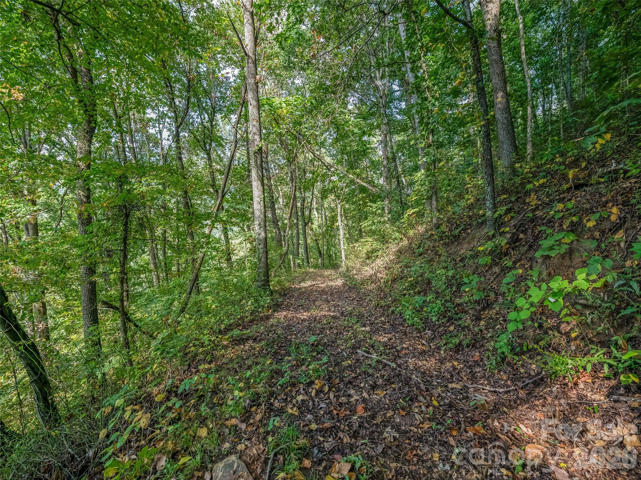 Tbd Robinhood Road, Unit 2 Asheville, NC 28804 - Photo 10 of 38 Gallery Image 10