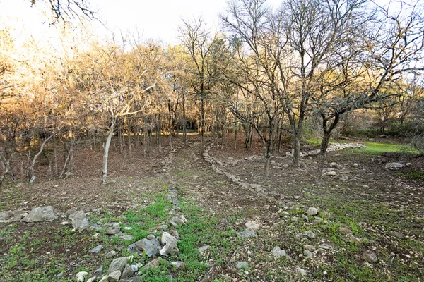 a view of empty yard with tree