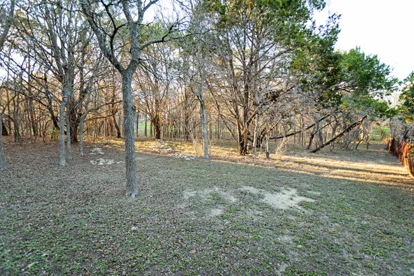 a view of a backyard
