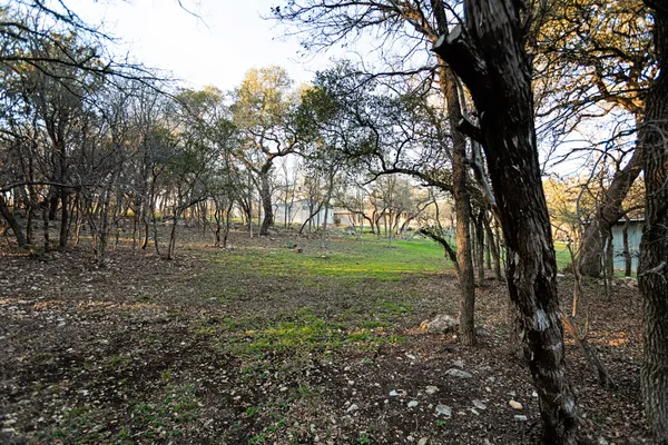 a view of a yard with a tree