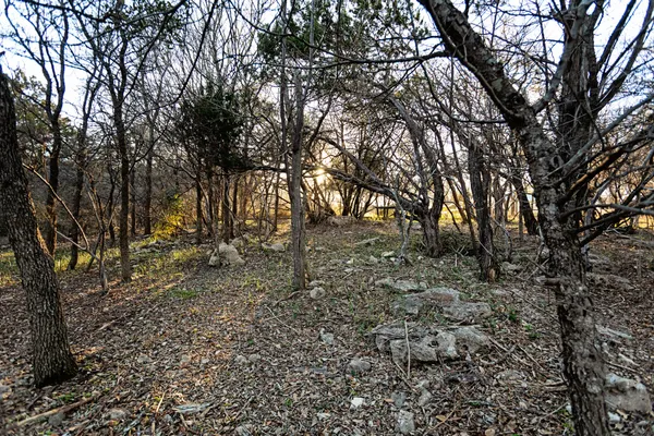 a view of a house with a big yard