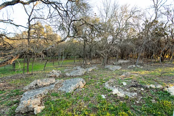 a view of yard with tree s