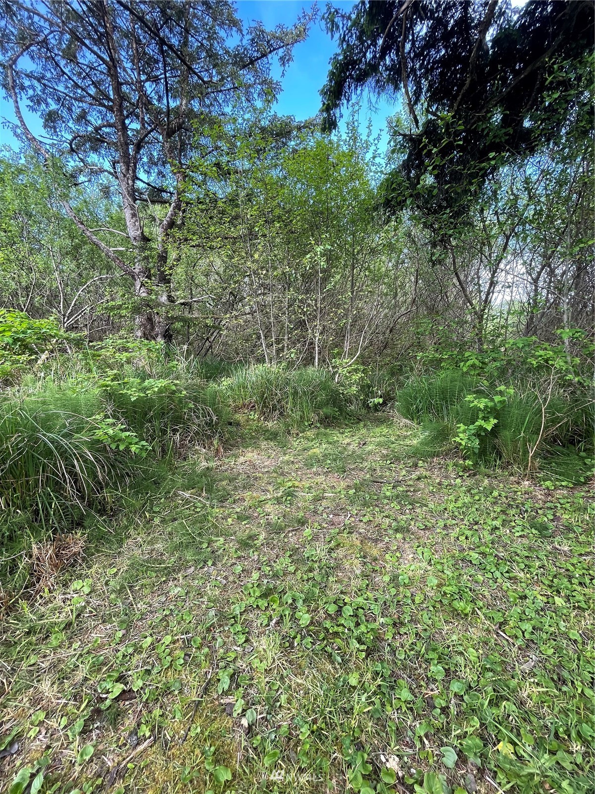 15 Heath Road Copalis Beach, WA 98535 - Photo 10 of 26 Gallery Image 10