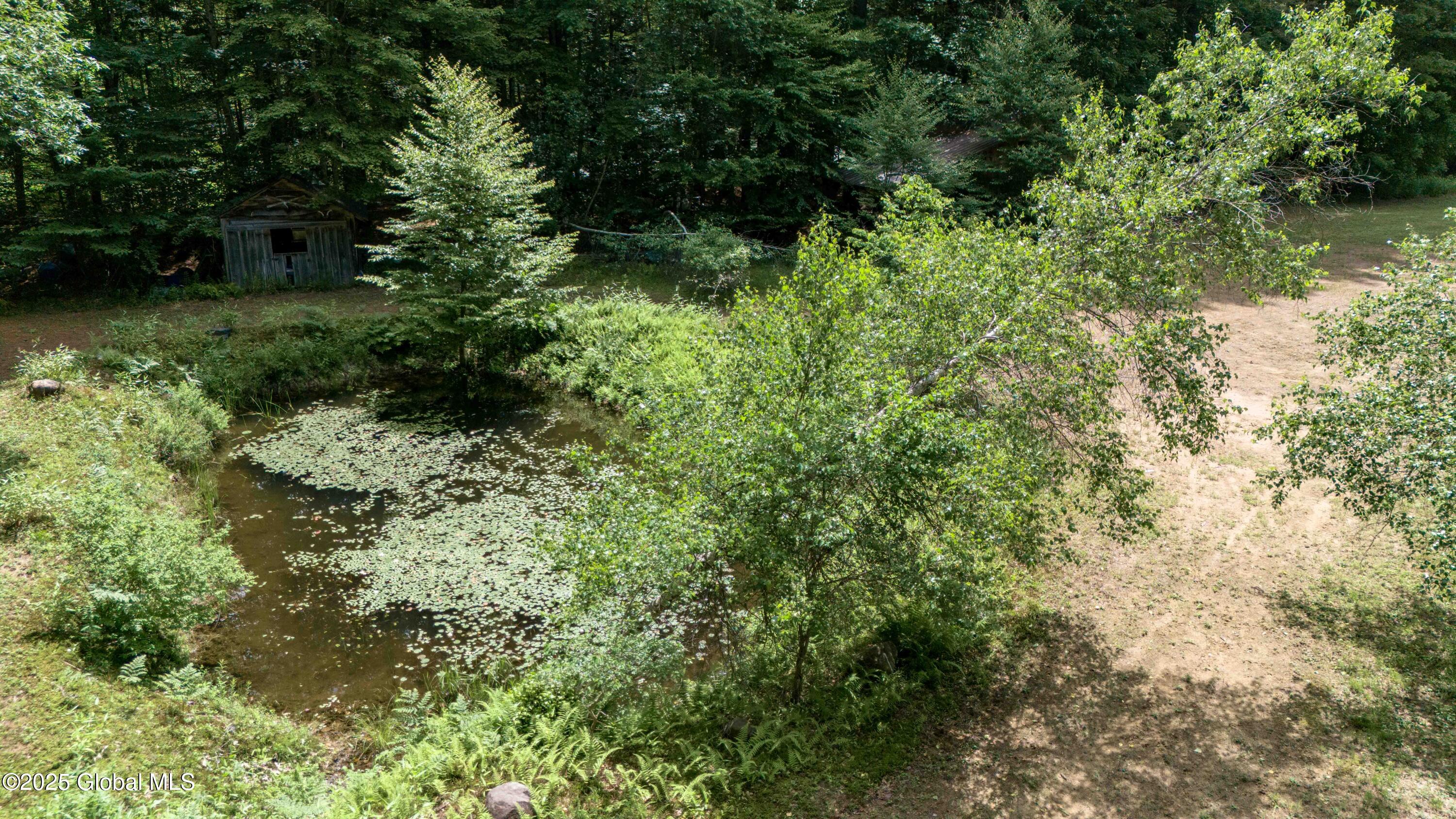 260 Old Northville Road Hope, NY 12134 - Photo 66 of 77 Witts End-71