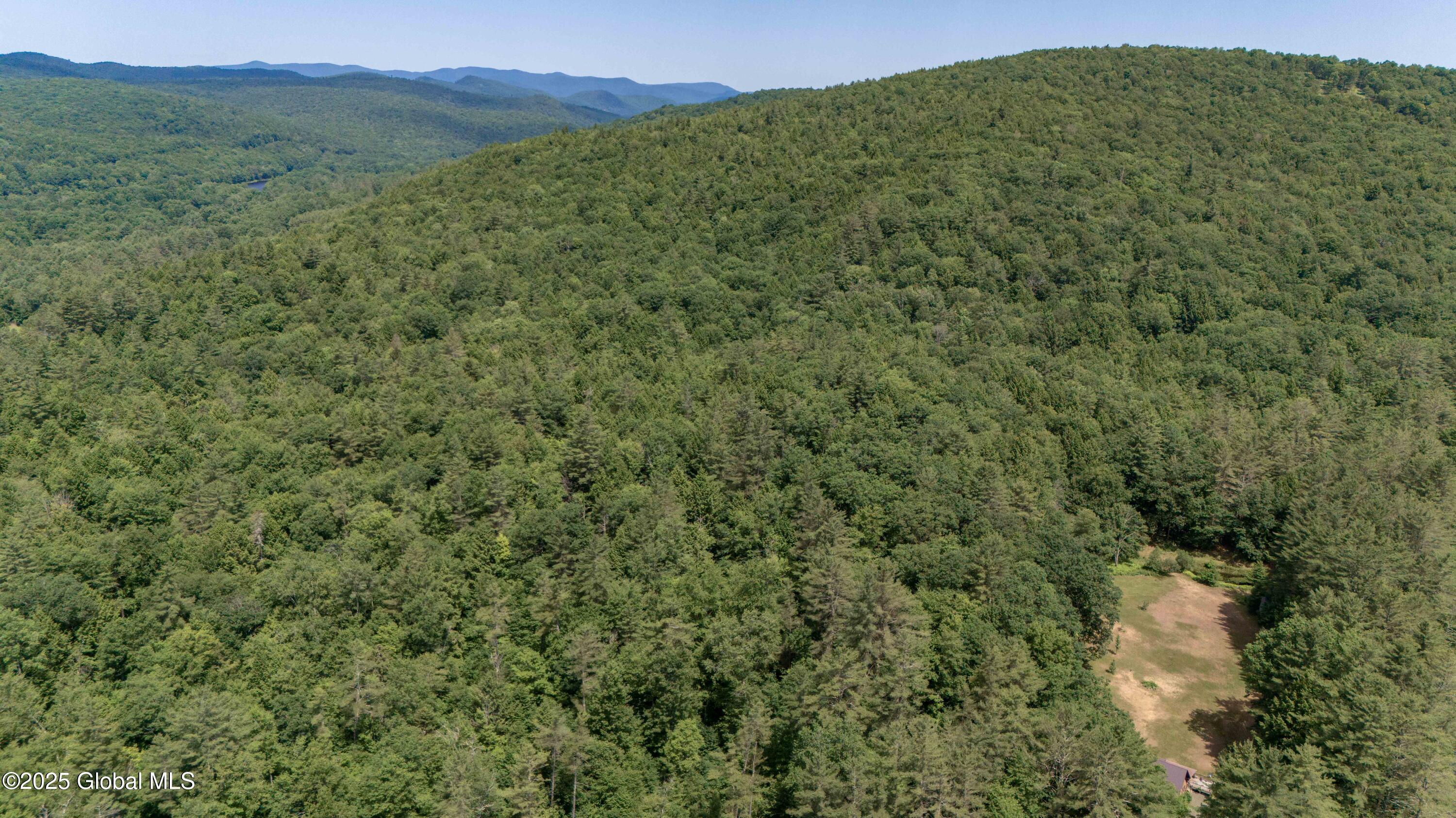 260 Old Northville Road Hope, NY 12134 - Photo 69 of 77 Witts End-74