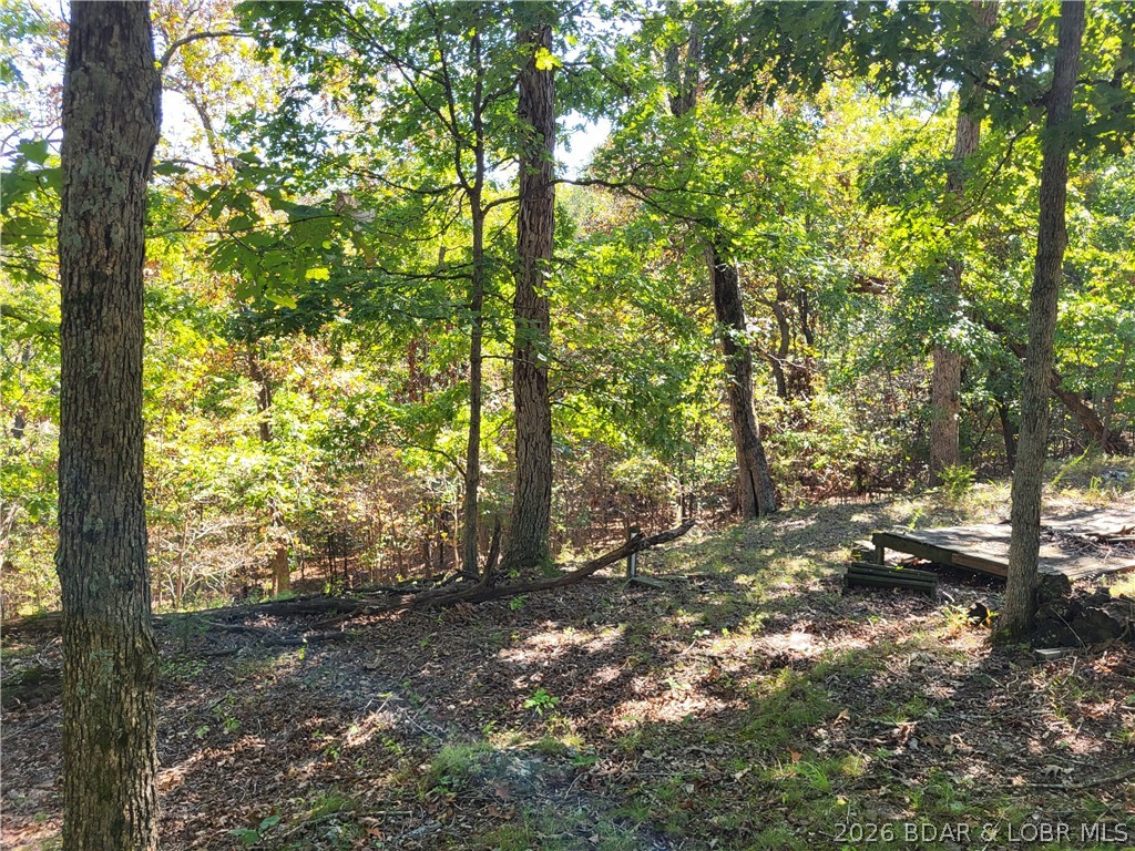 32534 Compromise Road Gravois Mills, MO 65037 - Photo 5 of 12