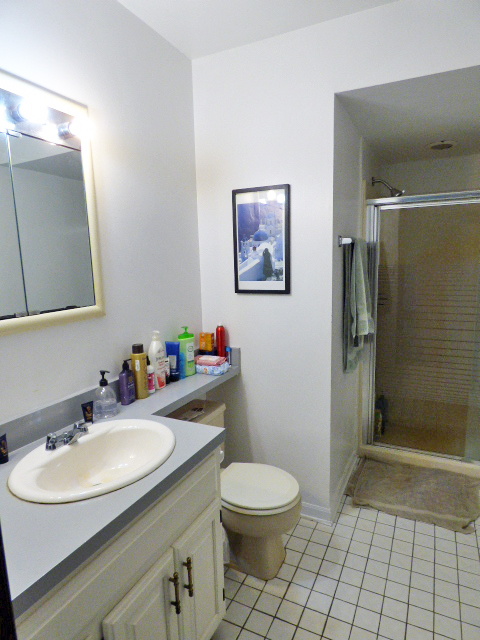 38-w059 Pine Road St. Charles, IL 60175 - Photo 13 of 38