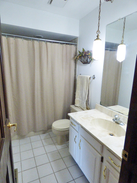 38-w059 Pine Road St. Charles, IL 60175 - Photo 10 of 38