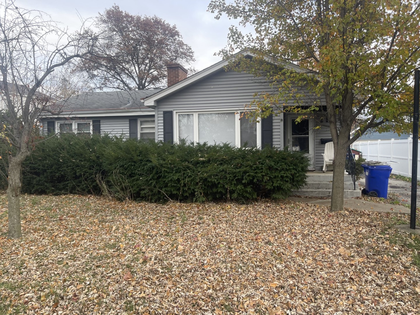 213 South Summit Street Wheaton, IL 60187 - Photo 2 of 33 a house that has a tree in front of it