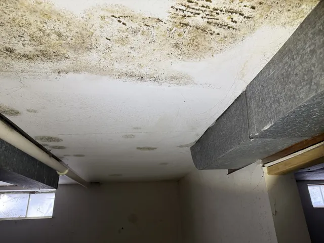 $389,900 | 213 South Summit Street, Wheaton, IL 60187