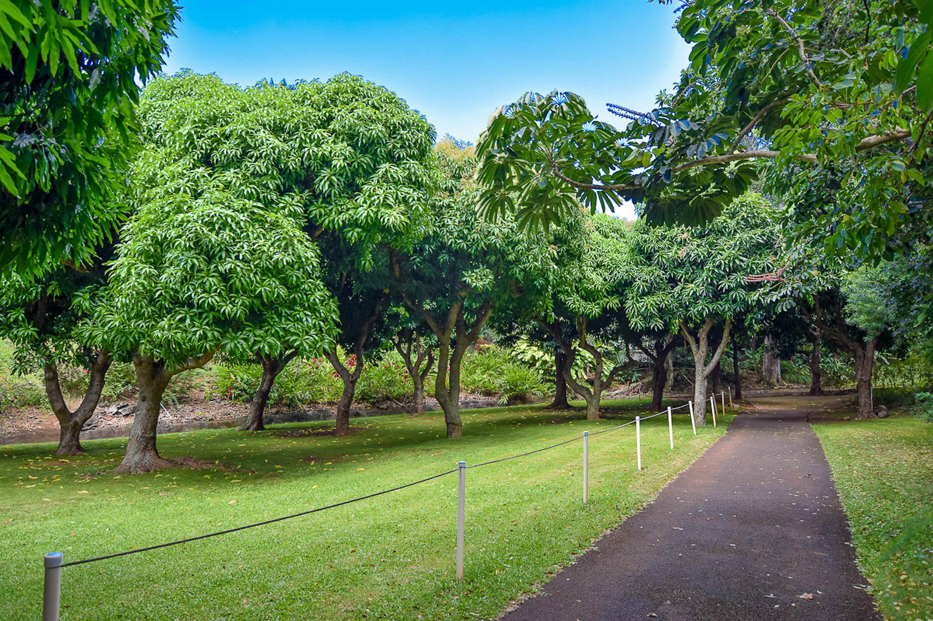 20 Hui Road East, Unit 45 Lahaina, HI 96761 - Photo 18 of 24 Gallery Image 18