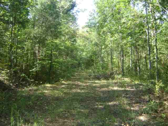 0 Bolt Drive Anderson, SC 29621 - Photo 4 of 6