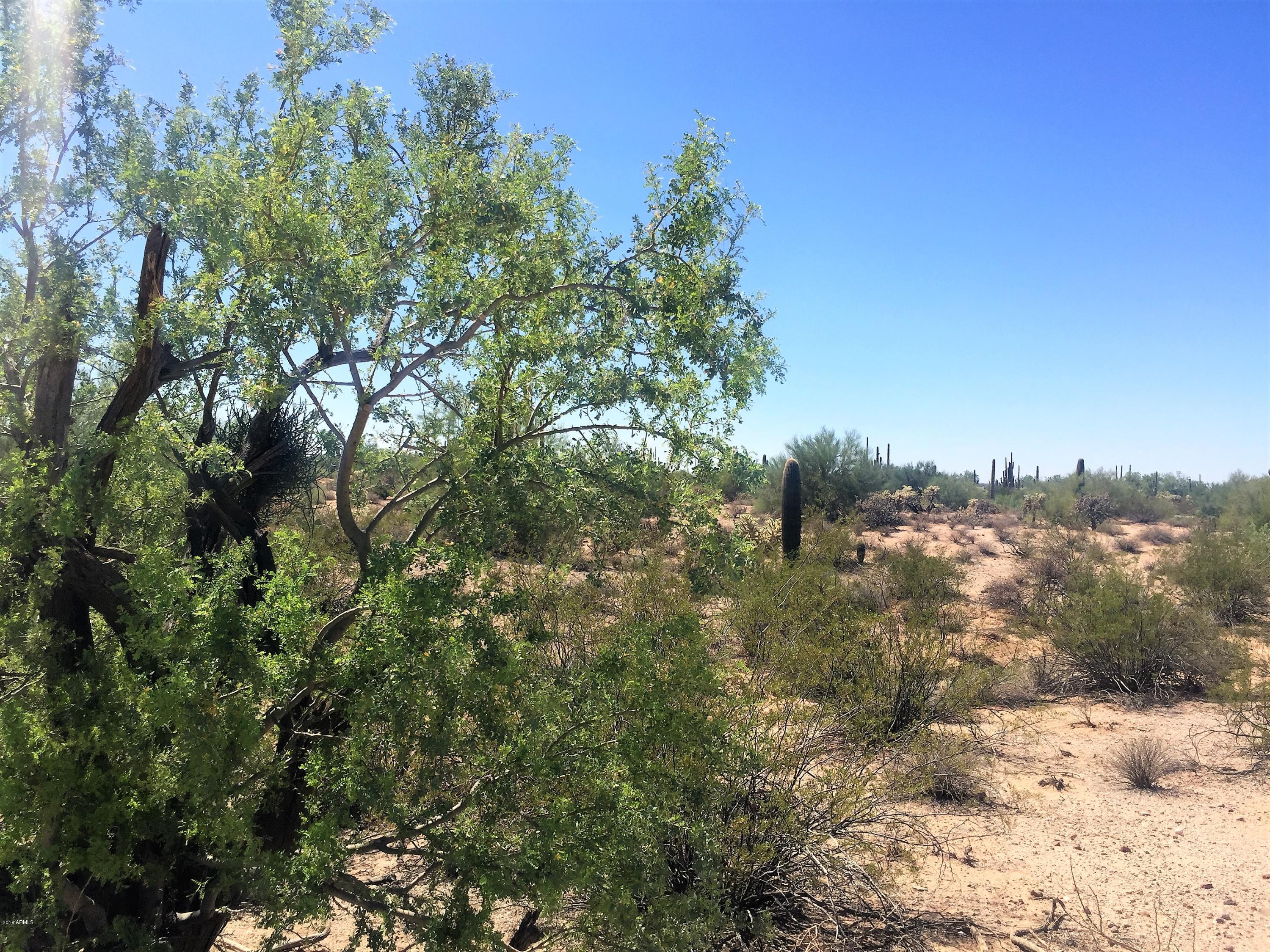 0 East Roca Road Florence, AZ 85132 - Photo 5 of 15 IMG_4060