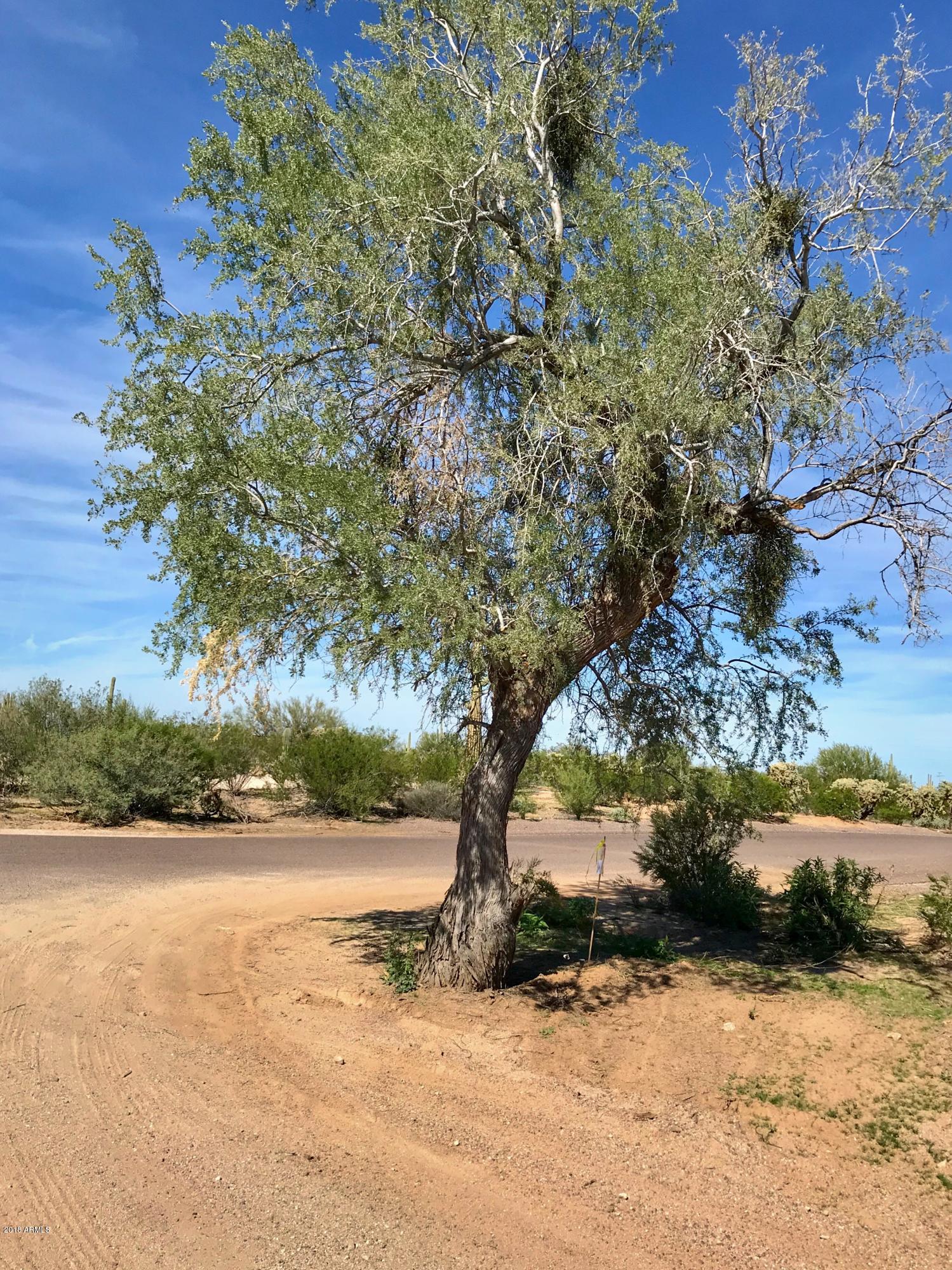 0 East Roca Road Florence, AZ 85132 - Photo 8 of 15 FullSizeRender