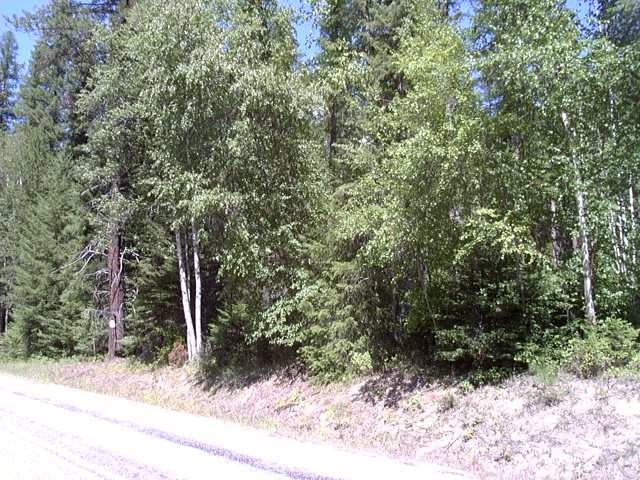 Naa North Naa N Leclerc Road Cusick, WA 99119 - Photo 1 of 2 Gallery Image 1