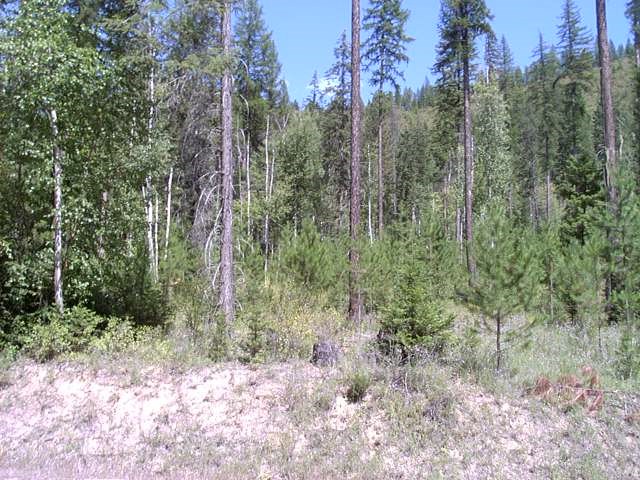 Naa North Naa N Leclerc Road Cusick, WA 99119 - Photo 2 of 2 Gallery Image 2