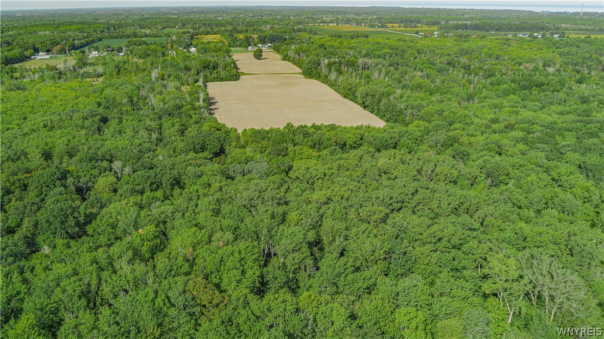 2367 Hess Road Newfane, NY 14008 - Photo 10 of 50