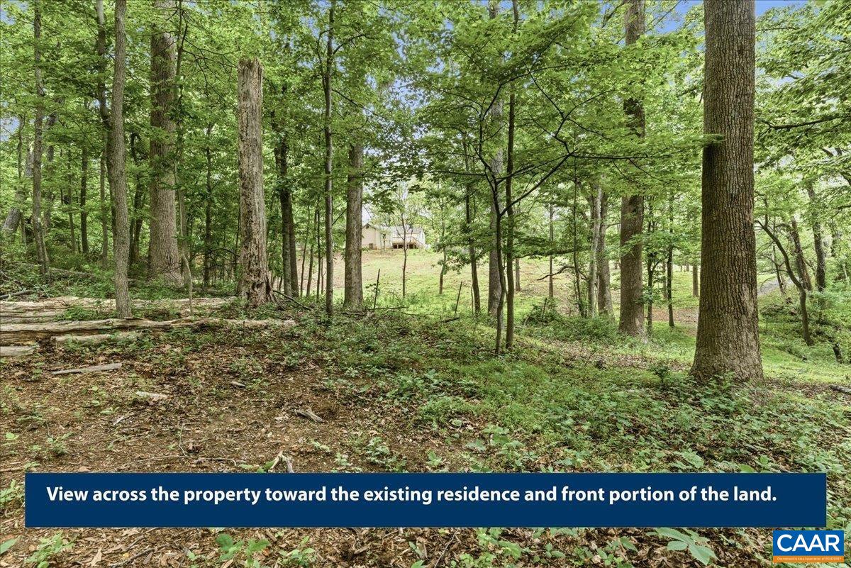 615 Half Mile Branch Road Crozet, VA 22932 - Photo 16 of 20