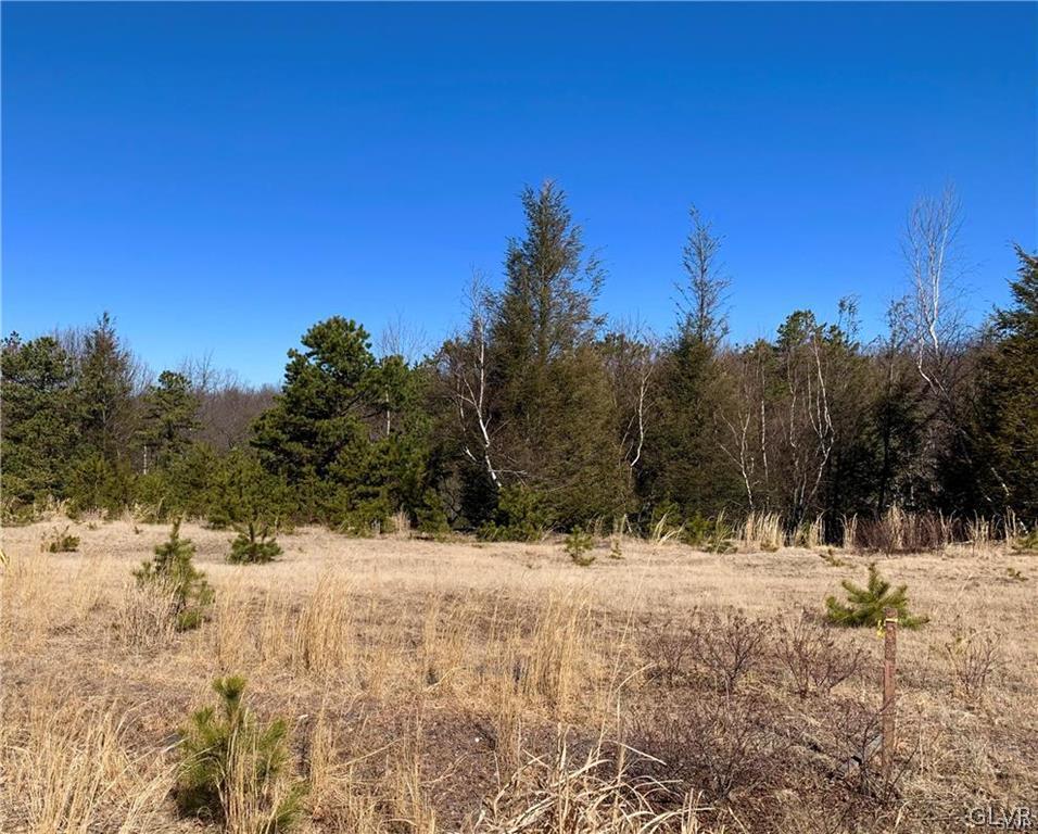49 Creekside Dr Union Hazleton, PA 18202 - Photo 2 of 2 a view of snow covered with snow