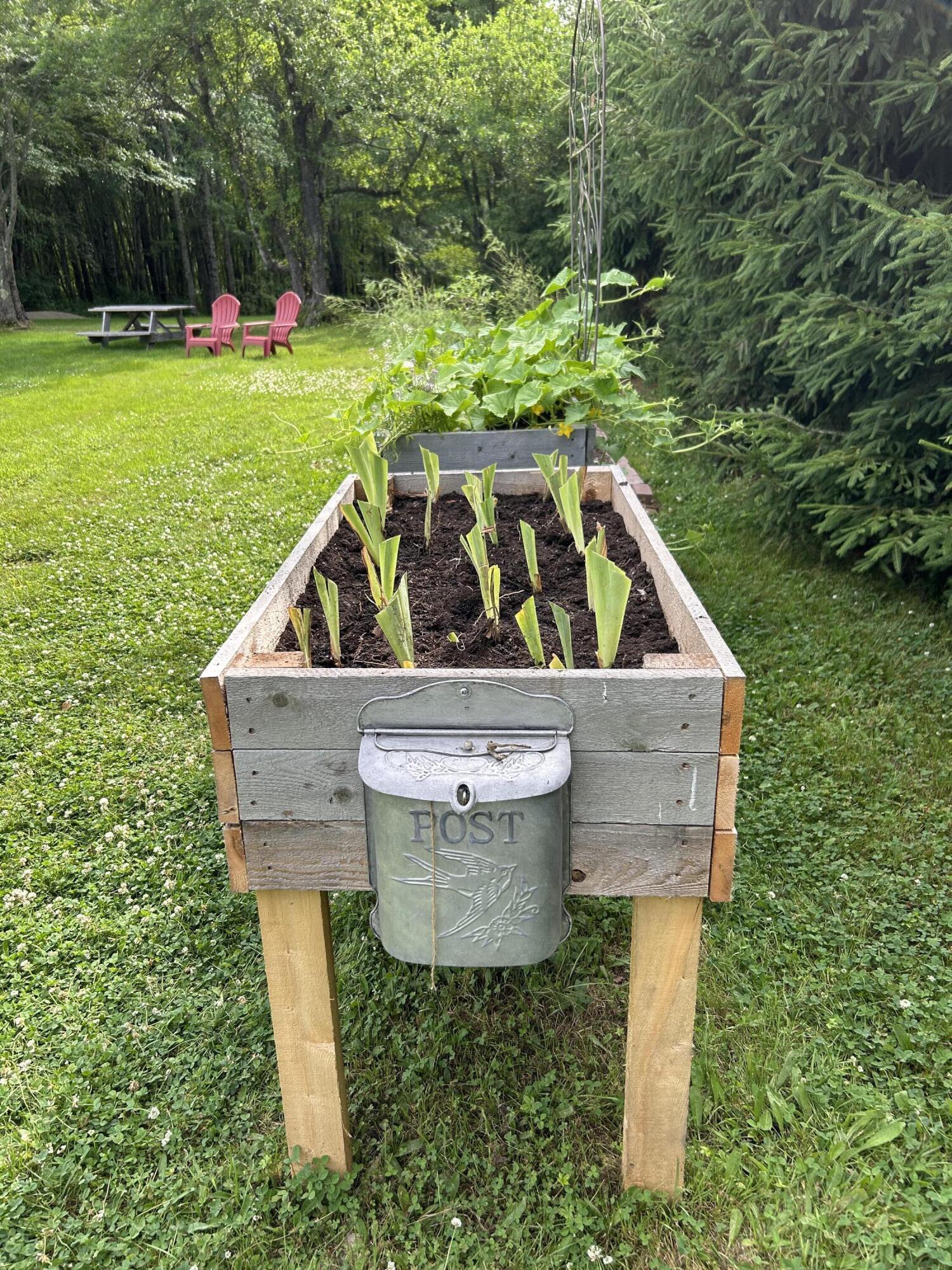 25 Curtis Lane Palmyra, ME 04965 - Photo 42 of 48 Garden