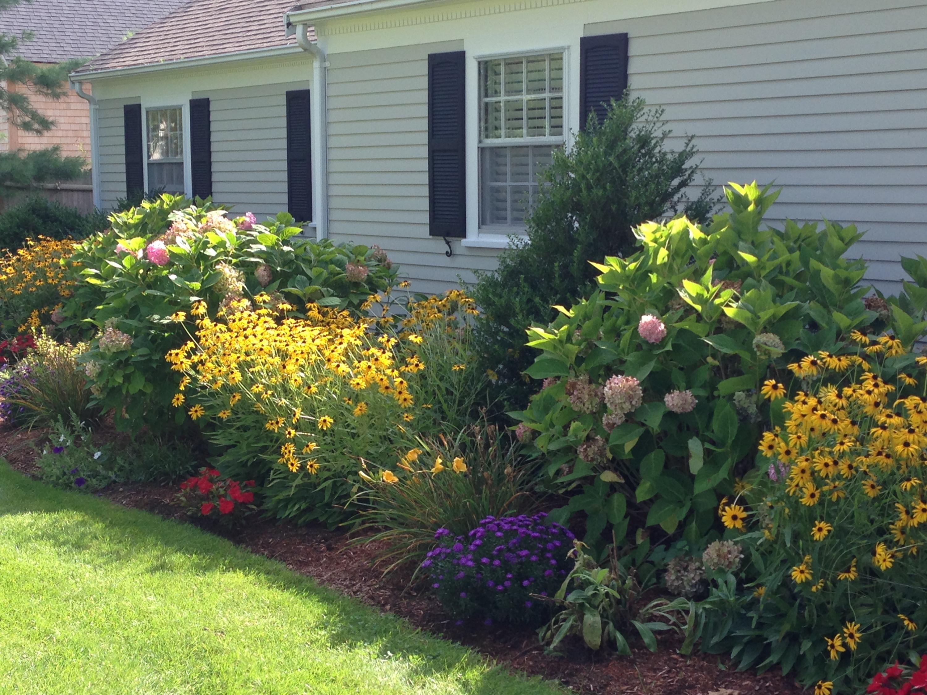 36 Deep Hole Road Harwich Port, MA 02646 - Photo 4 of 34 a flower plants in front of a house