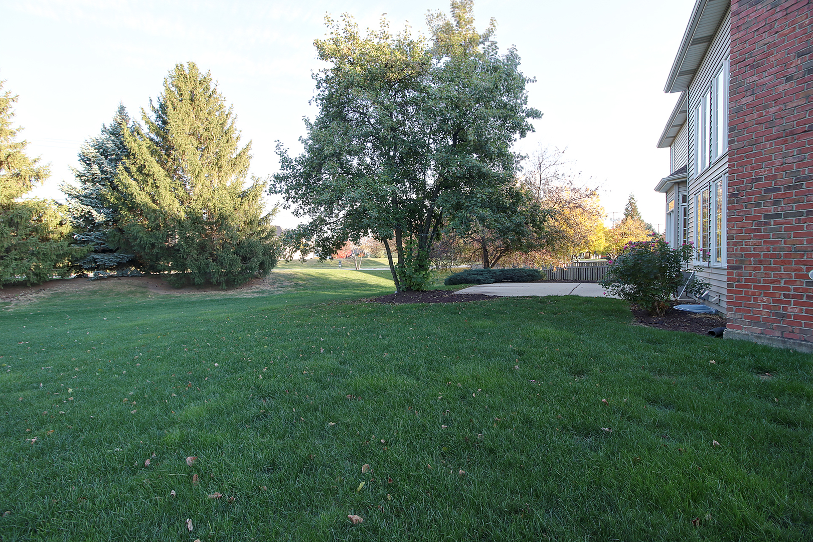 26025 Whispering Woods Circle Plainfield, IL 60585 - Photo 39 of 43 a view of green field with trees in the background