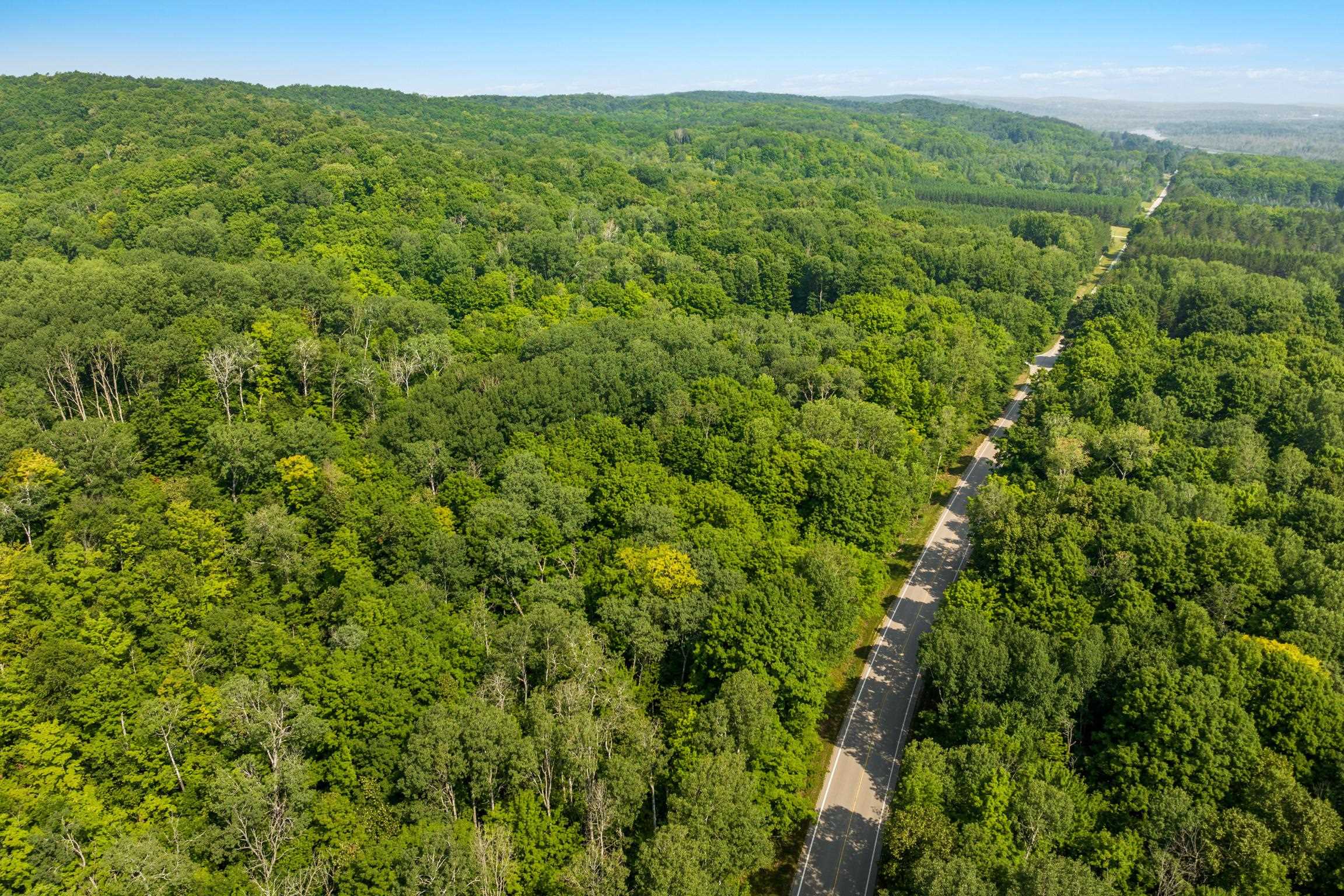 0 Six 6 Mile Lake Road Ellsworth, MI 49729 - Photo 4 of 11