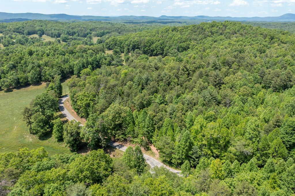 4.0-acre Donley Road Murphy, NC 28906 - Photo 13 of 15