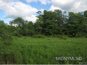 0 25.9 Ac Johnnycake Road Mohawk, NY 13407 - Photo 1 of 1