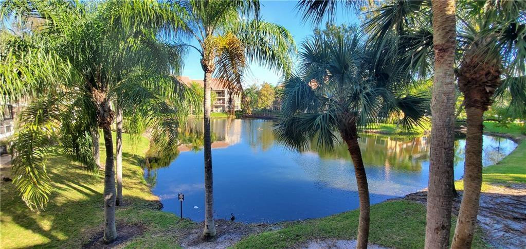 8977 Wiles Road, Unit 206 Coral Springs, FL 33067 - Photo 45 of 50 Photo 45