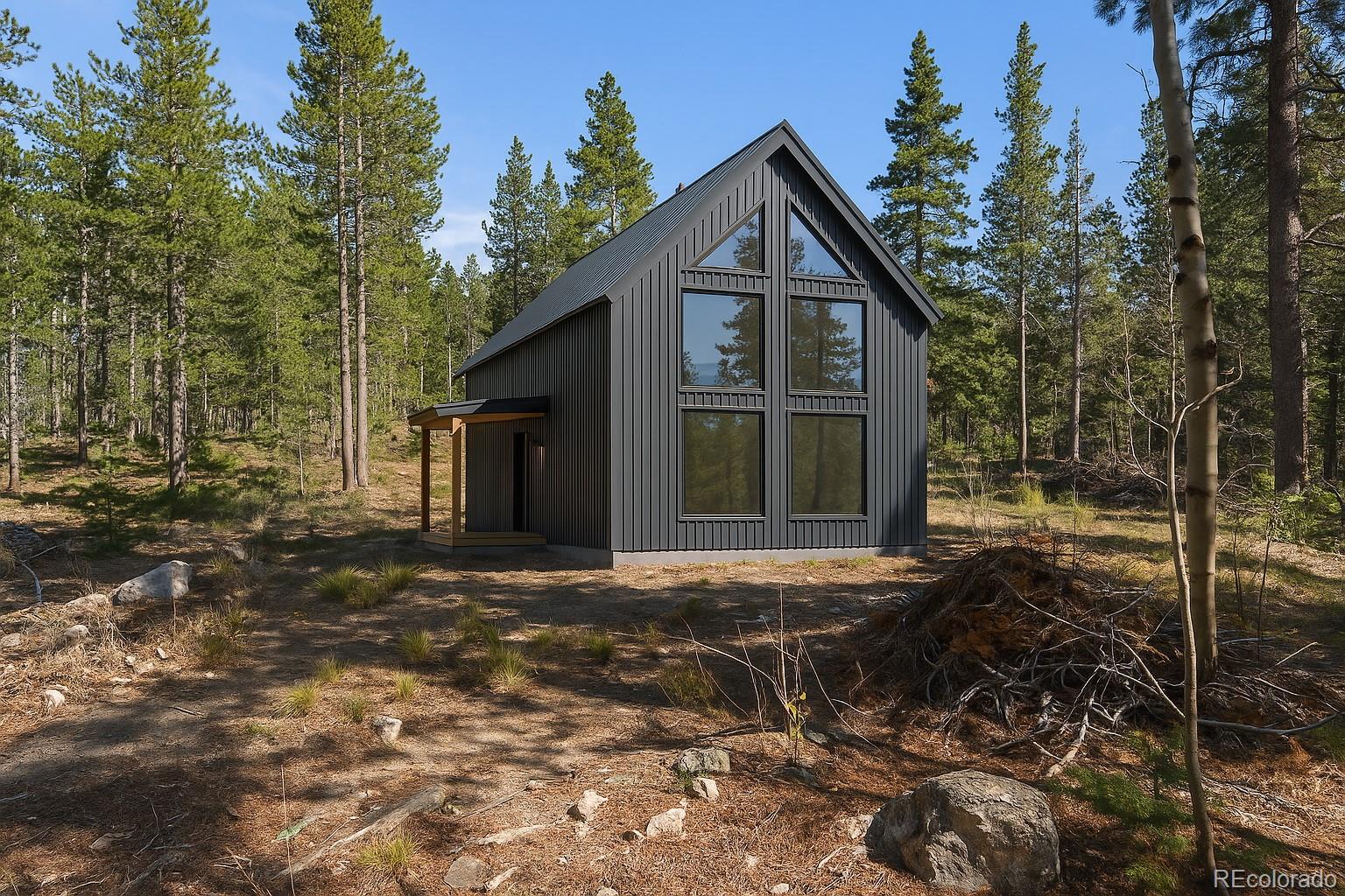0 Severance Lodge Road Black Hawk, CO 80422 - Photo 9 of 15