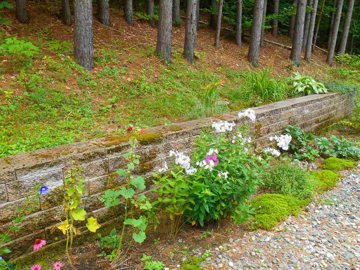 4520 Westminster W Road Westminster, VT 05346 - Photo 7 of 20