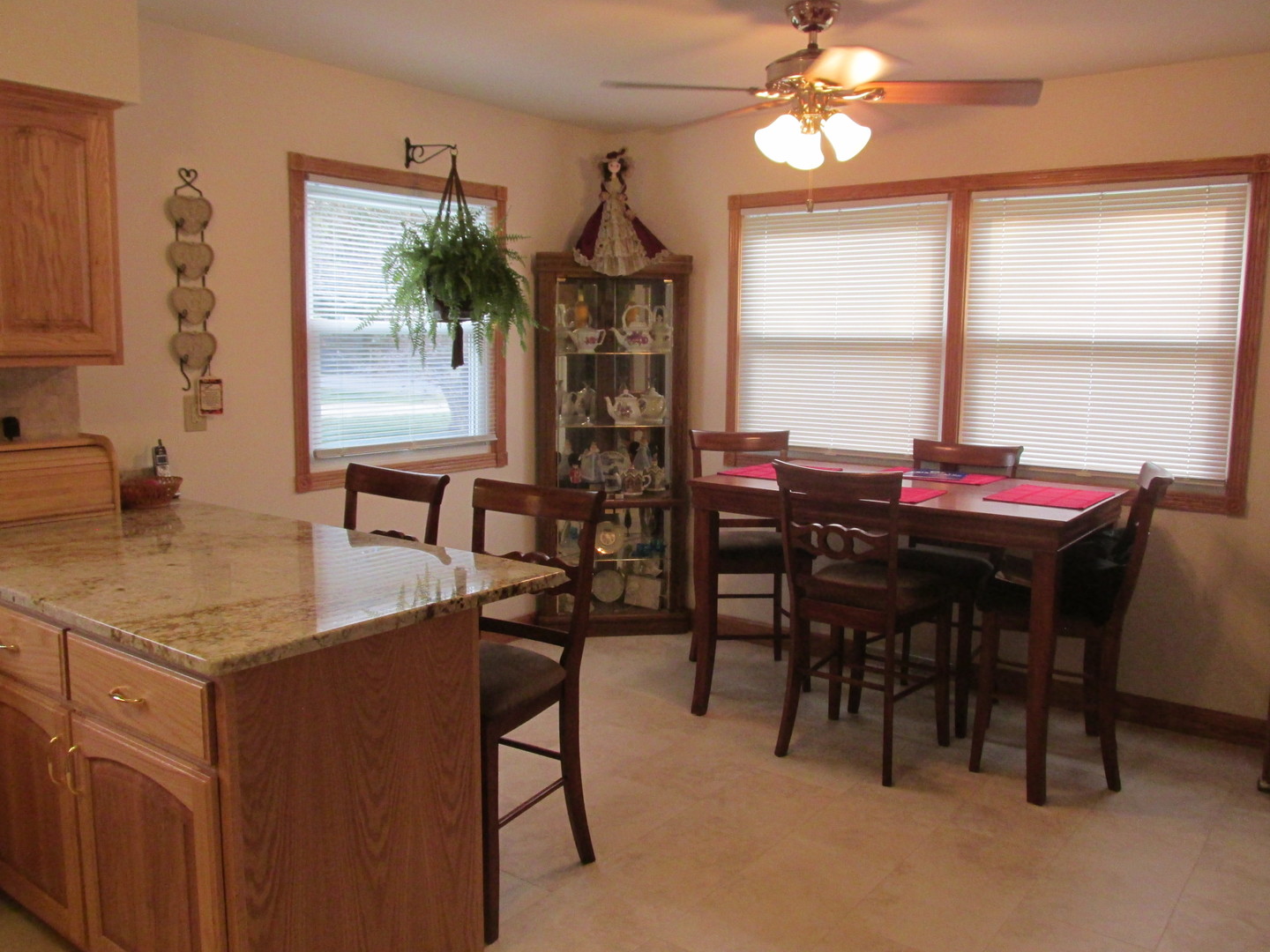 202 Roberts Road New Lenox, IL 60451 - Photo 11 of 25 Gallery Image 11
