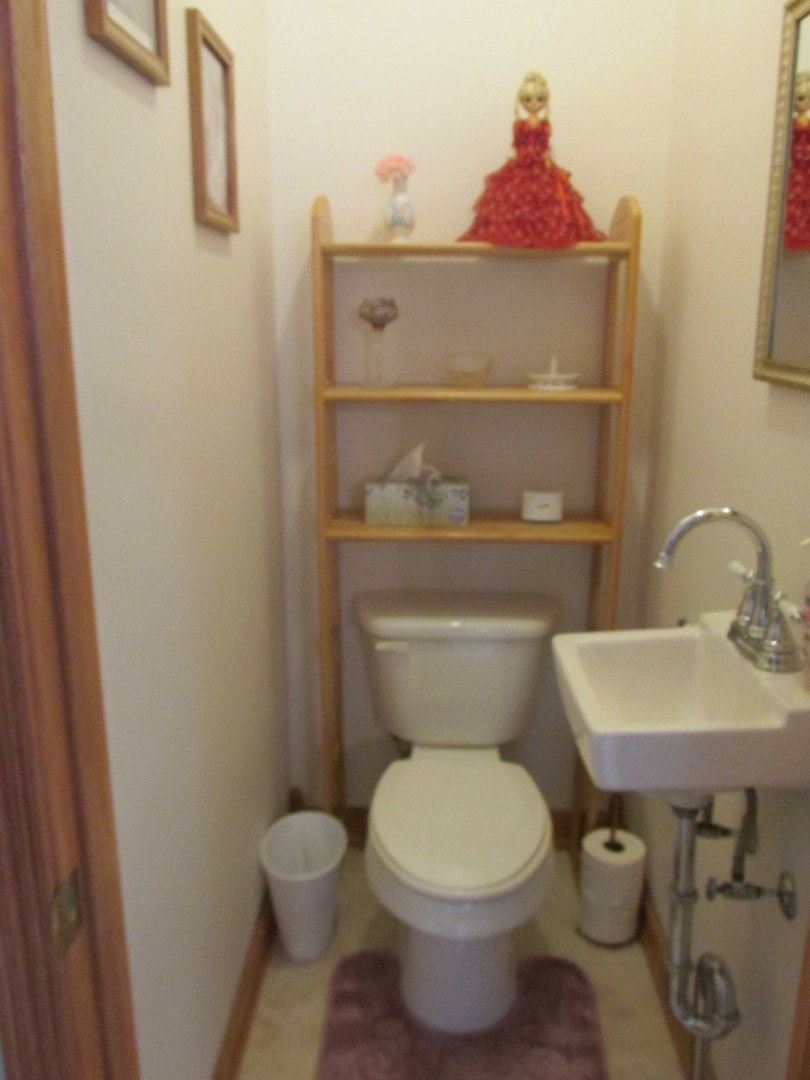 202 Roberts Road New Lenox, IL 60451 - Photo 16 of 25 Gallery Image 16