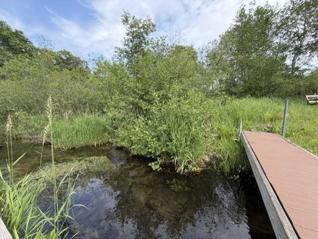 920 County Road West Wild Rose, WI 54984 - Photo 40 of 48
