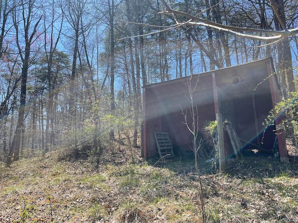 19707 Rauber Road Logan, OH 43138 - Photo 65 of 80 IMG_0858
