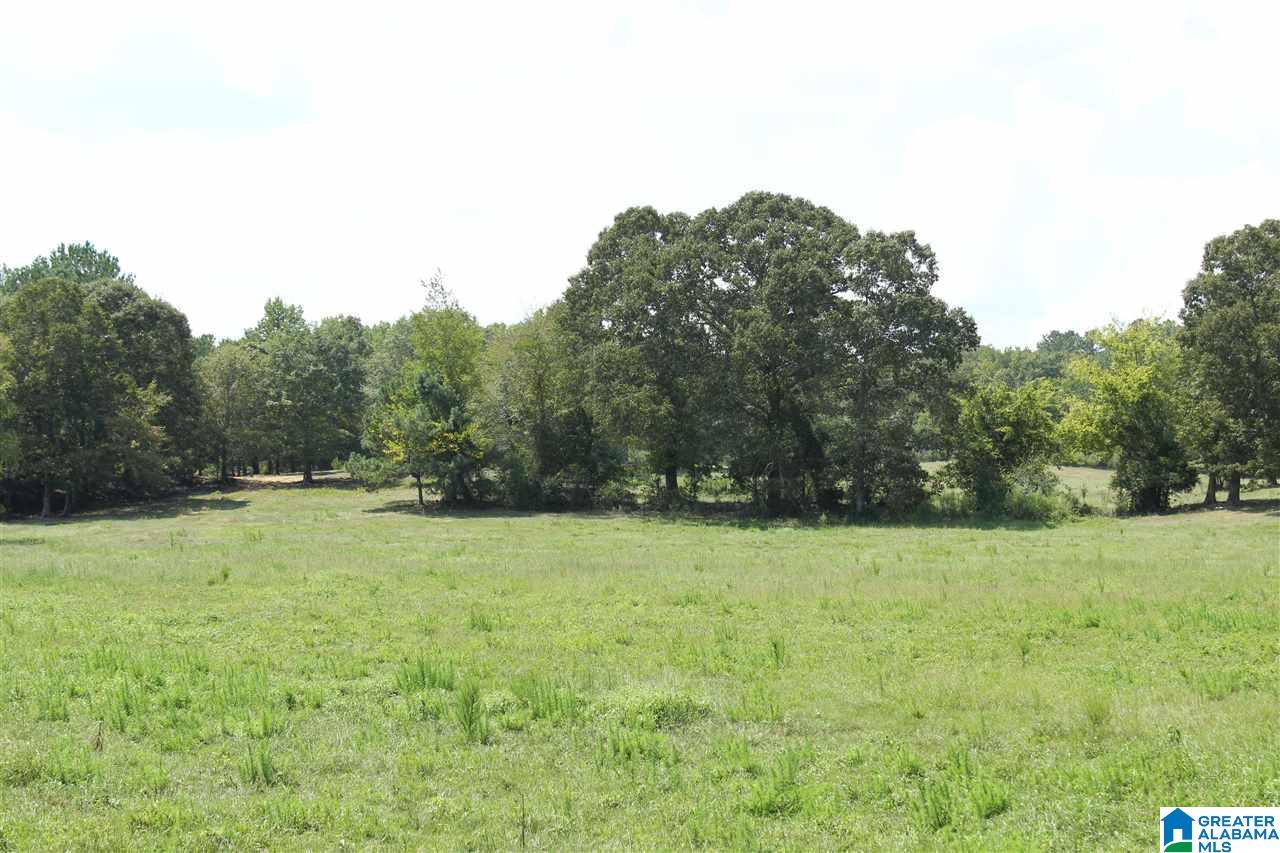 2020 Church Road, Unit 1 Pell City, AL 35128 - Photo 2 of 6