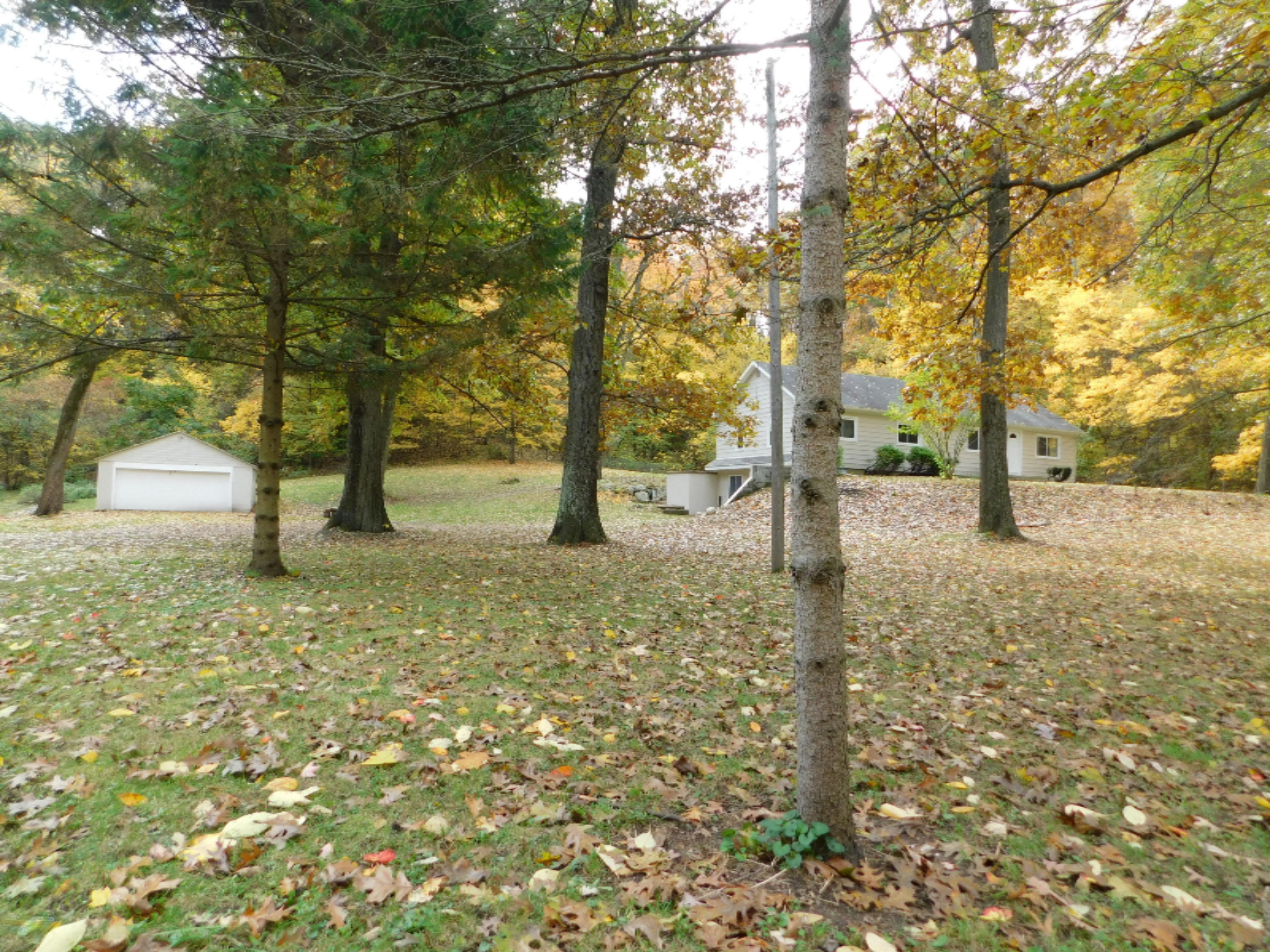 38 Pine Road Plainwell, MI 49080 - Photo 2 of 12 DSCN0075