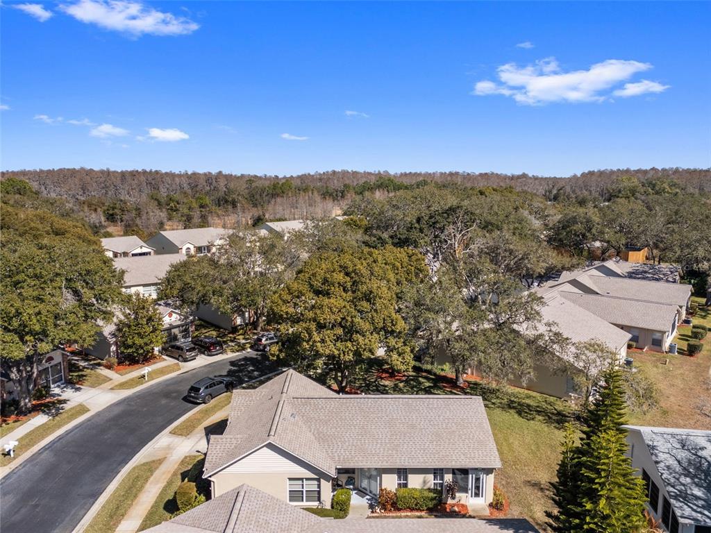 4914 Cathedral Court, Unit 4914 New Port Richey, FL 34655 - Photo 71 of 79