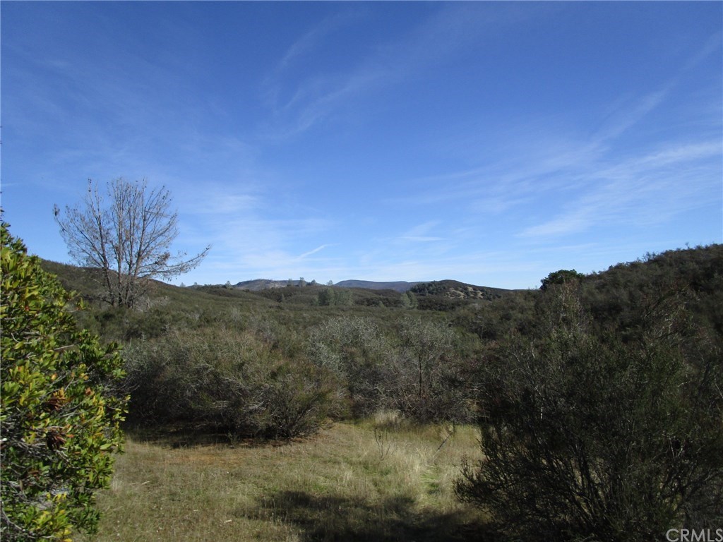12948 Spruce Grove Road Lower Lake, CA 95457 - Photo 1 of 1 Gallery Image 1