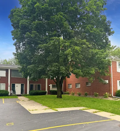 a tree in front of a brick house with a large tree