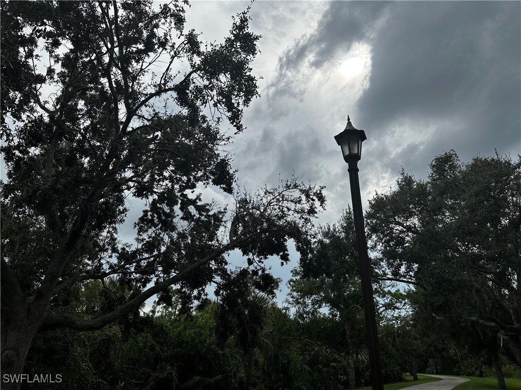 North River Road Venice, FL 34293 - Photo 14 of 21 a view of a tree in front of a tree