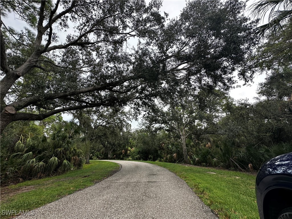 North River Road Venice, FL 34293 - Photo 16 of 21 a view of a yard with a tree