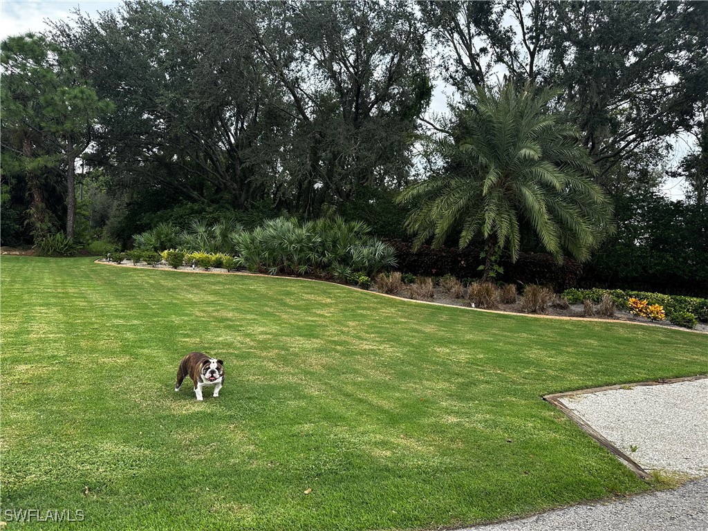 North River Road Venice, FL 34293 - Photo 6 of 21 a backyard of a house with lots of green space