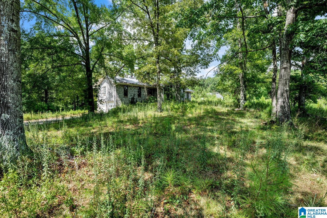 587 Mountain Drive Remlap, AL 35133 - Photo 33 of 34