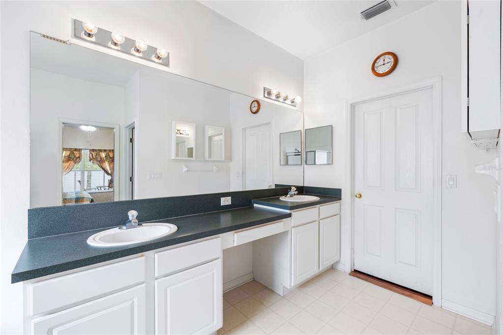2763 Valencia Grove Drive Valrico, FL 33596 - Photo 21 of 38 a bathroom with a sink and a mirror