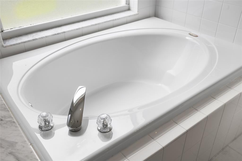 2763 Valencia Grove Drive Valrico, FL 33596 - Photo 23 of 38 a close view of sink