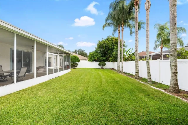 a view of yard with a palm trees