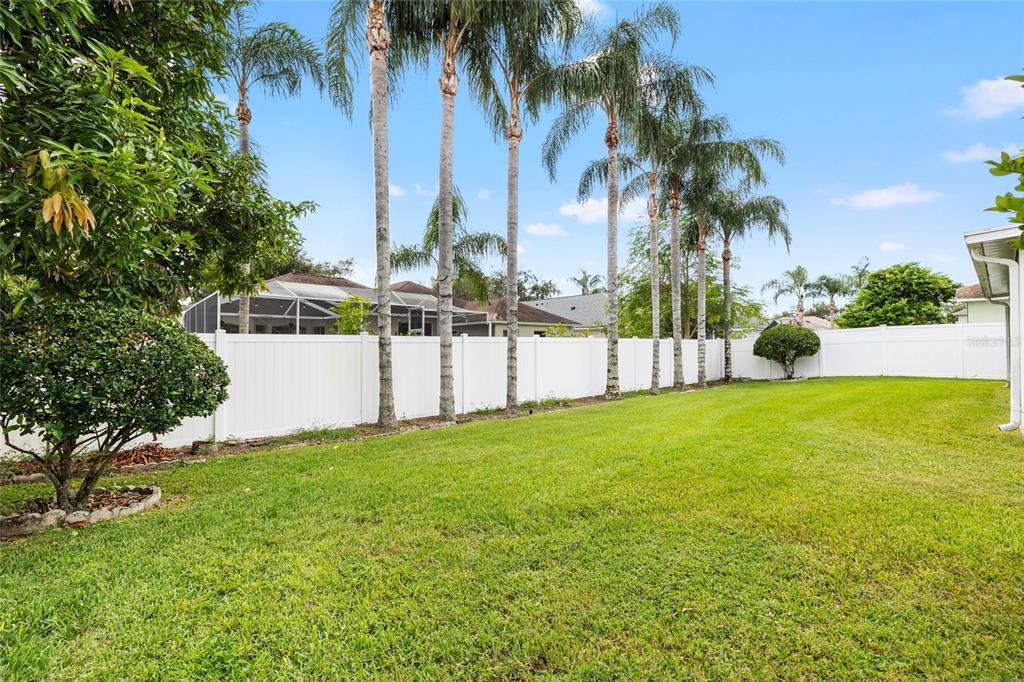 2763 Valencia Grove Drive Valrico, FL 33596 - Photo 38 of 38 a view of a backyard