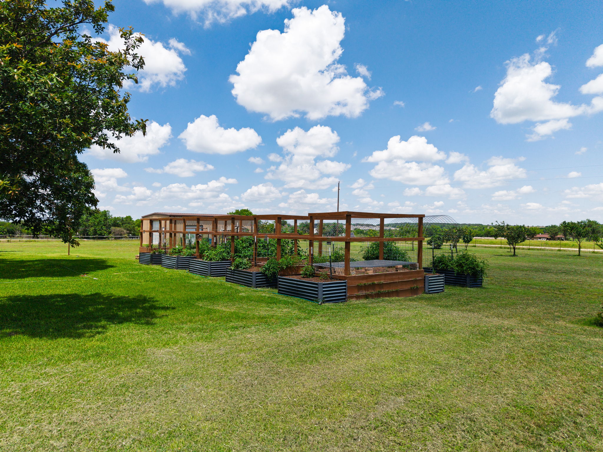 120 Rae Lane Jarrell, TX 76537 - Photo 21 of 40 Expansive outdoor garden area featuring multiple raised beds with planted vegetation